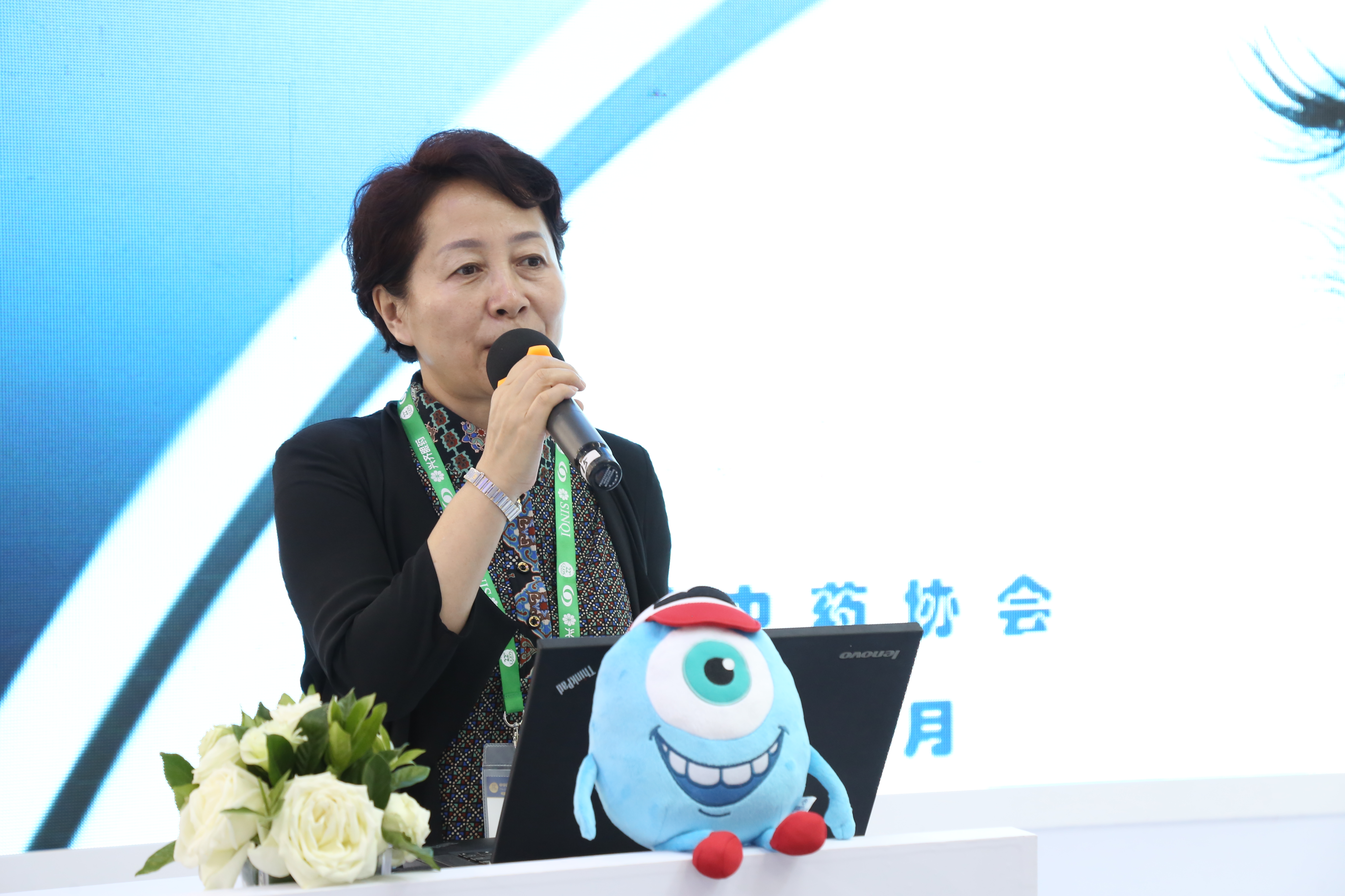 中國中藥協(xié)會王桂華秘書長強調(diào)《保健類眼貼團體標(biāo)準(zhǔn)》建立的重要性