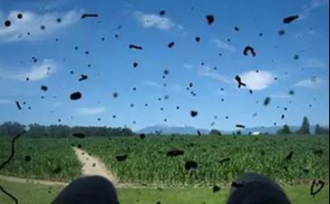 關注眼健康，了解飛蚊癥！