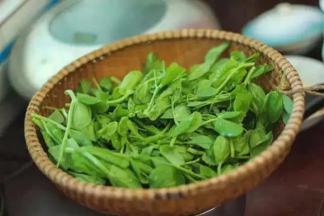 好視力科技護(hù)眼知識分享：用眼過度的人多吃這道菜