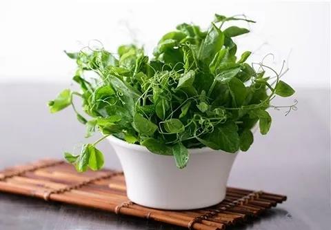 這個護眼食物，竟然還有人不知道！