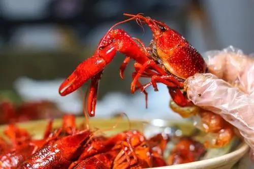 小龍蝦暢銷的季節(jié)，專家建議這個(gè)部位千萬(wàn)別吃！