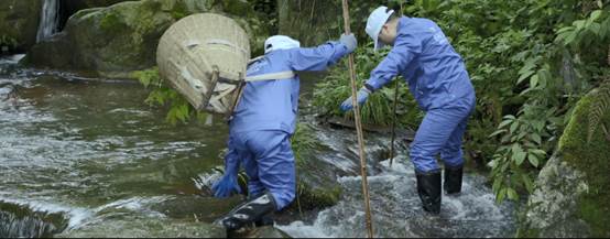 好視力眼貼：20年的良心堅守，只為讓我媽用上好的護眼產(chǎn)品