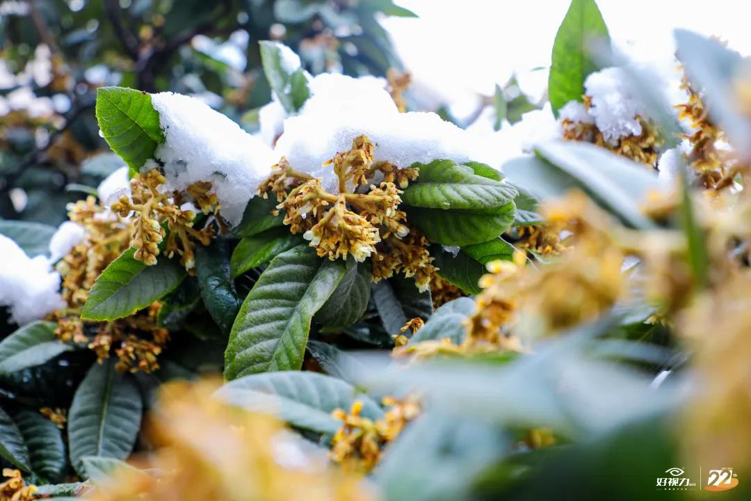 一場(chǎng)初雪，好視力眼貼一直守護(hù)