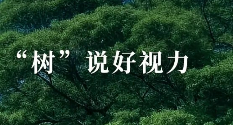 種守護(hù)眼健康的“參天大樹”！