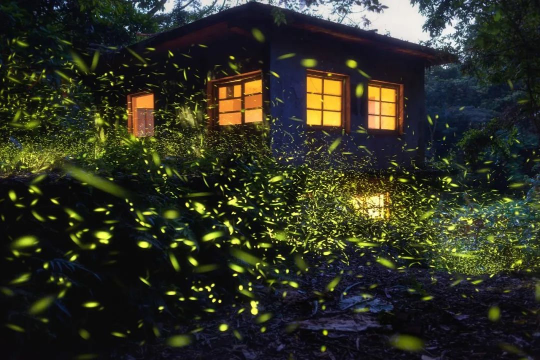 夜視力是什么？為什么有人一到晚上就看不清？