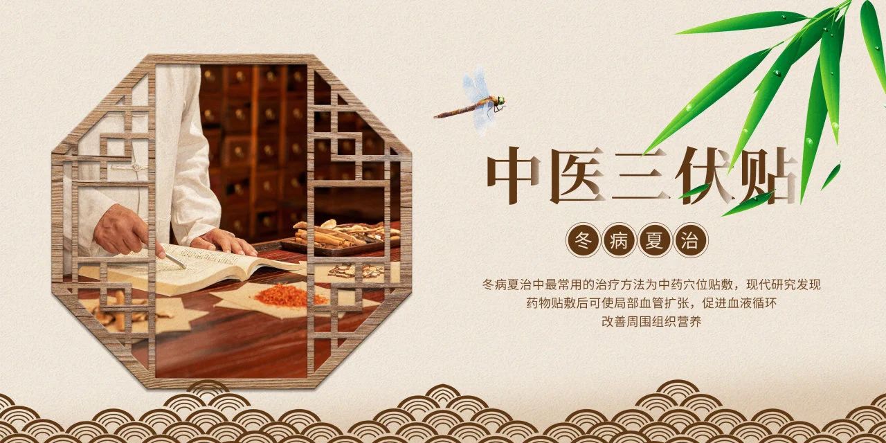 眼睛也需要“三伏貼”？